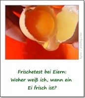 frischetest-ei