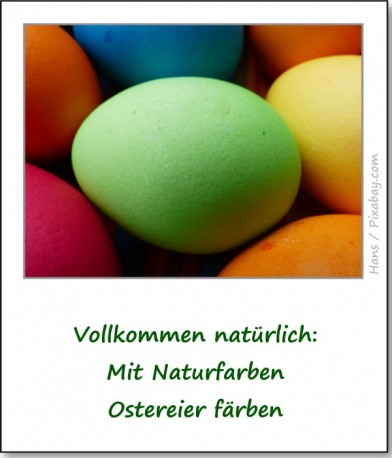 naturfarben-eierfaerben