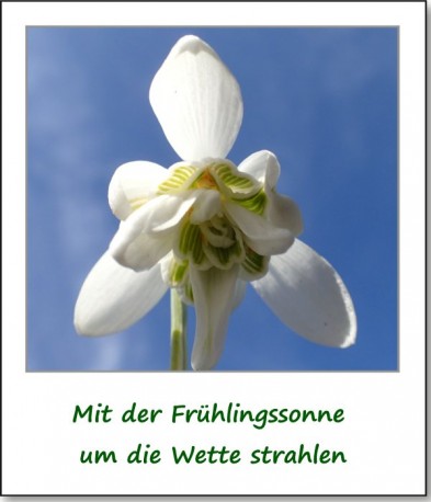 2015-fruehlingserwachen-02