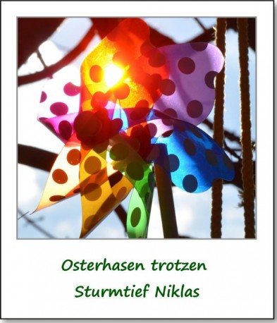 2015-osterhasen-trotzen-sturmtief-niklas